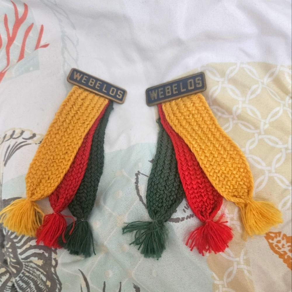 2 boyscout pins